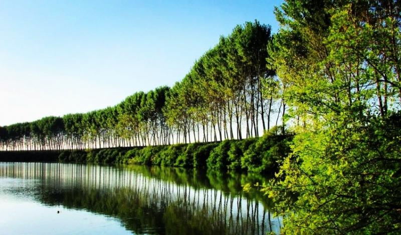 meteo buono al pioppeto. principato d'ambrosia clima ottimo