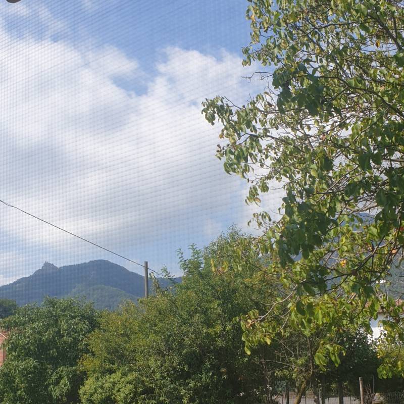 Fotosegnalazione di Cumiana