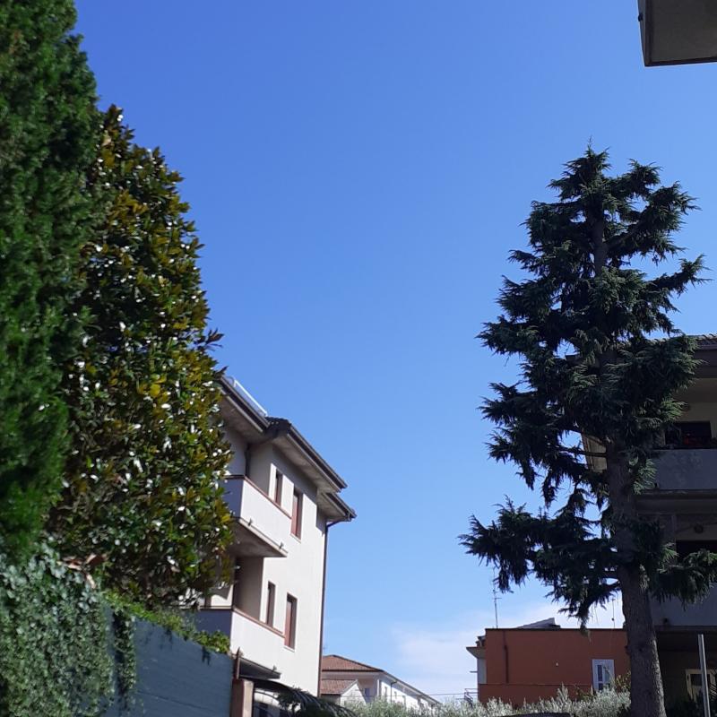 Fotosegnalazione di Civitanova marche