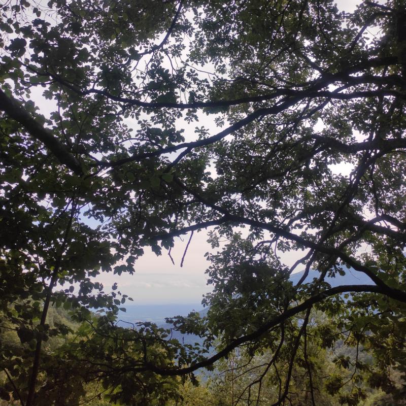 Fotosegnalazione di Quittengo