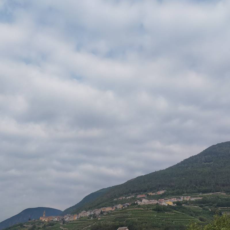 Fotosegnalazione di Segonzano