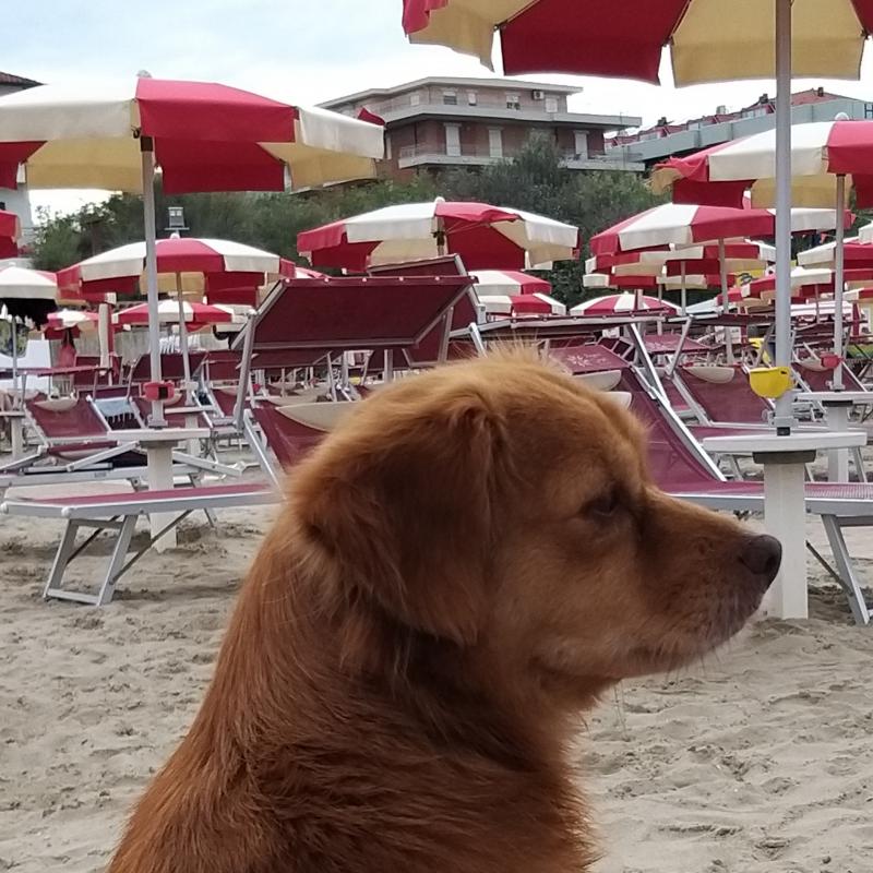 A bellaria tempo nuvoloso