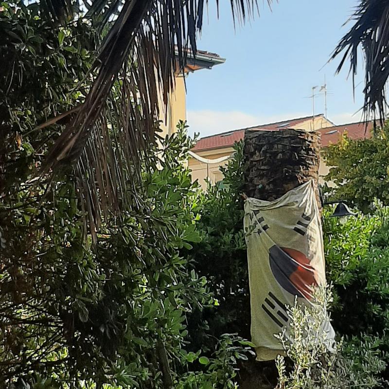 Fotosegnalazione di San vincenzo