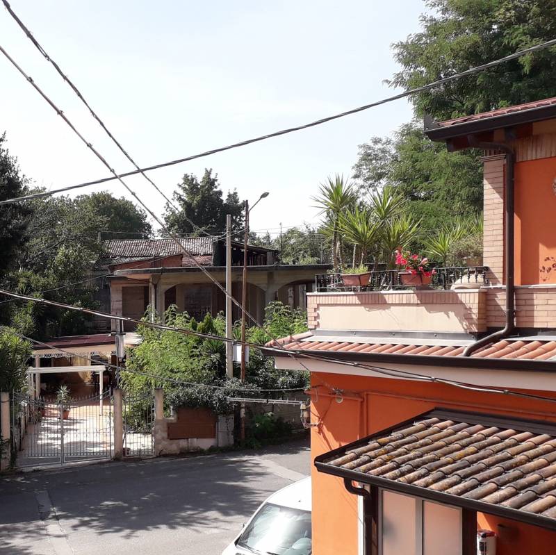Fotosegnalazione di Zungri