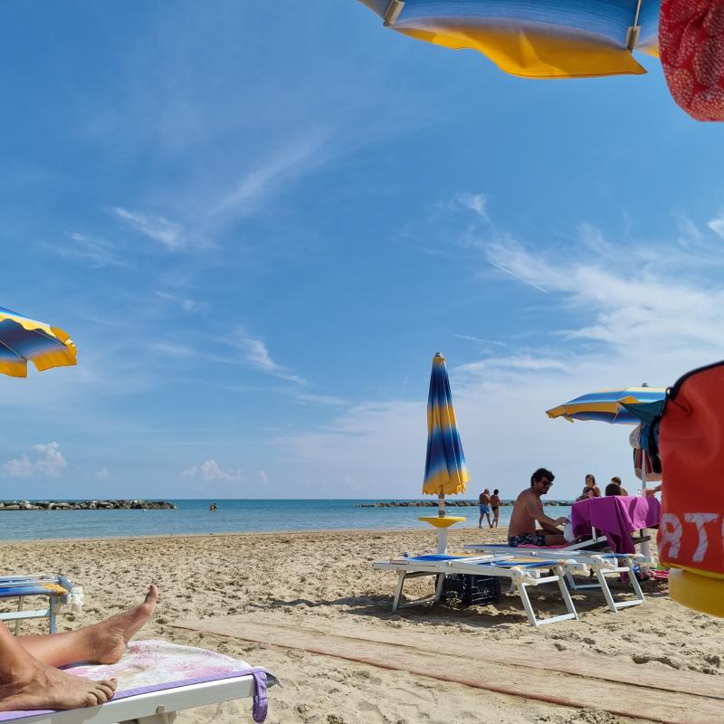 Fotosegnalazione di Pesaro fosso sejore