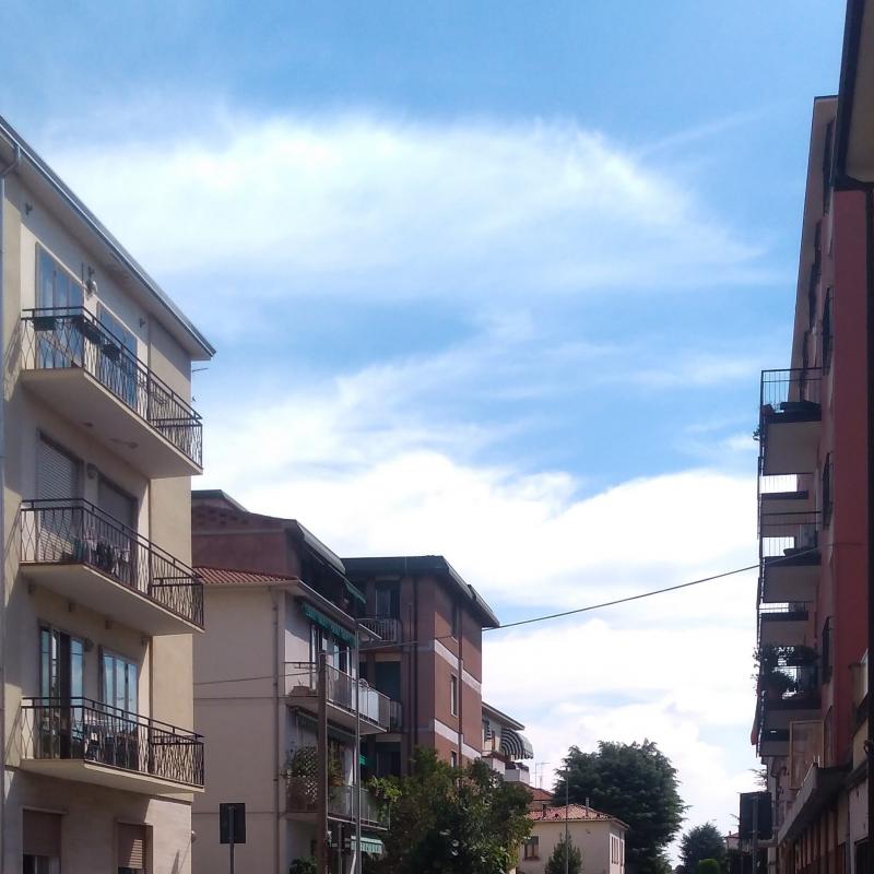 Fotosegnalazione di Padova arcella - san carlo