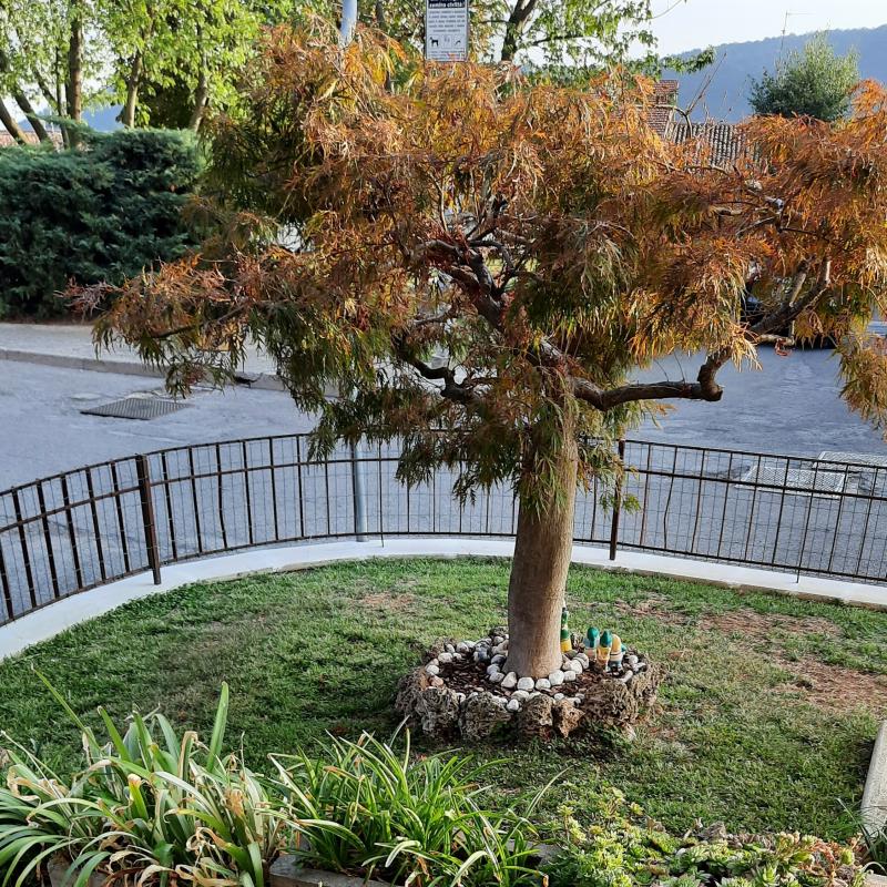 Fotosegnalazione di Villa pedergnano