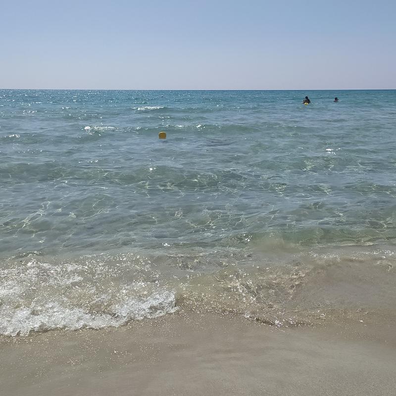 Fotosegnalazione di Taranto periferia sud
