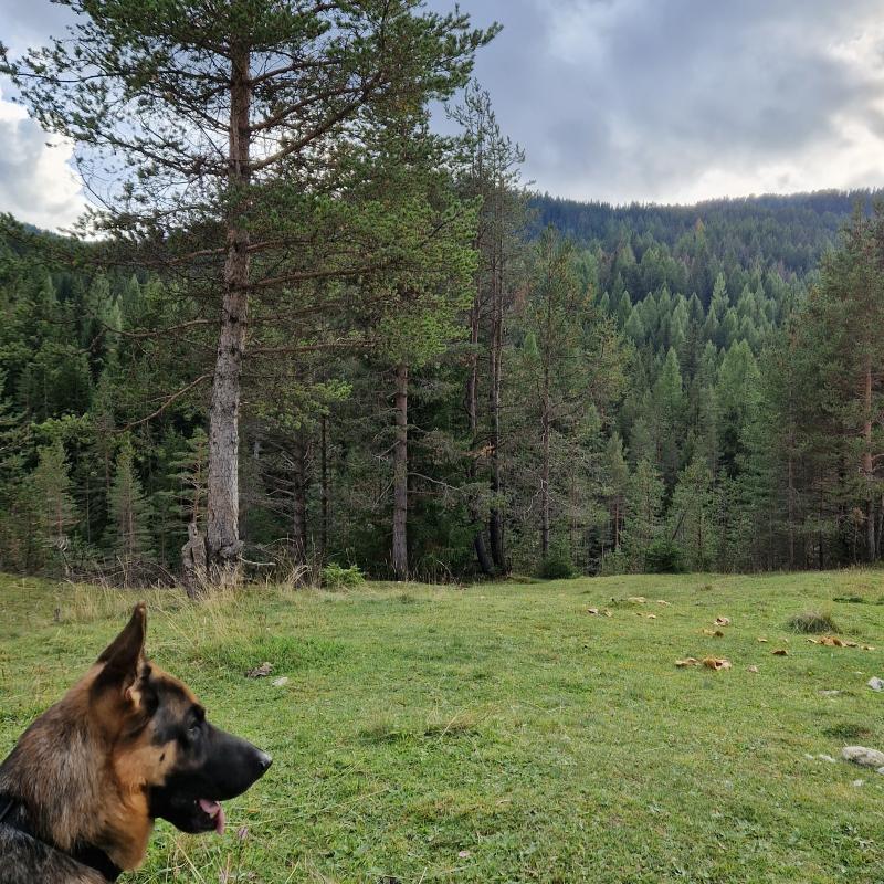 argo e le nuvole