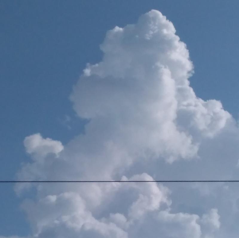 Fotosegnalazione di Padova centro