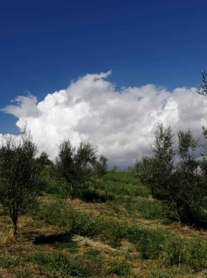 arriva il temporale.