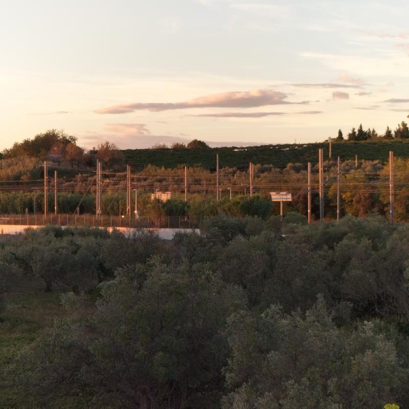 Fotosegnalazione di Vasto