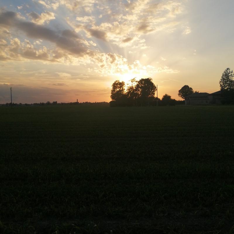 Fotosegnalazione di Vigarano mainarda