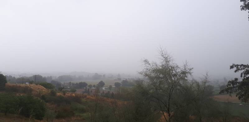 temporalealle 9.30