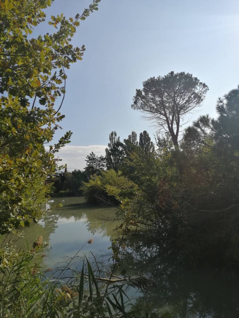 Laghetto di Castel San Pietro Terme