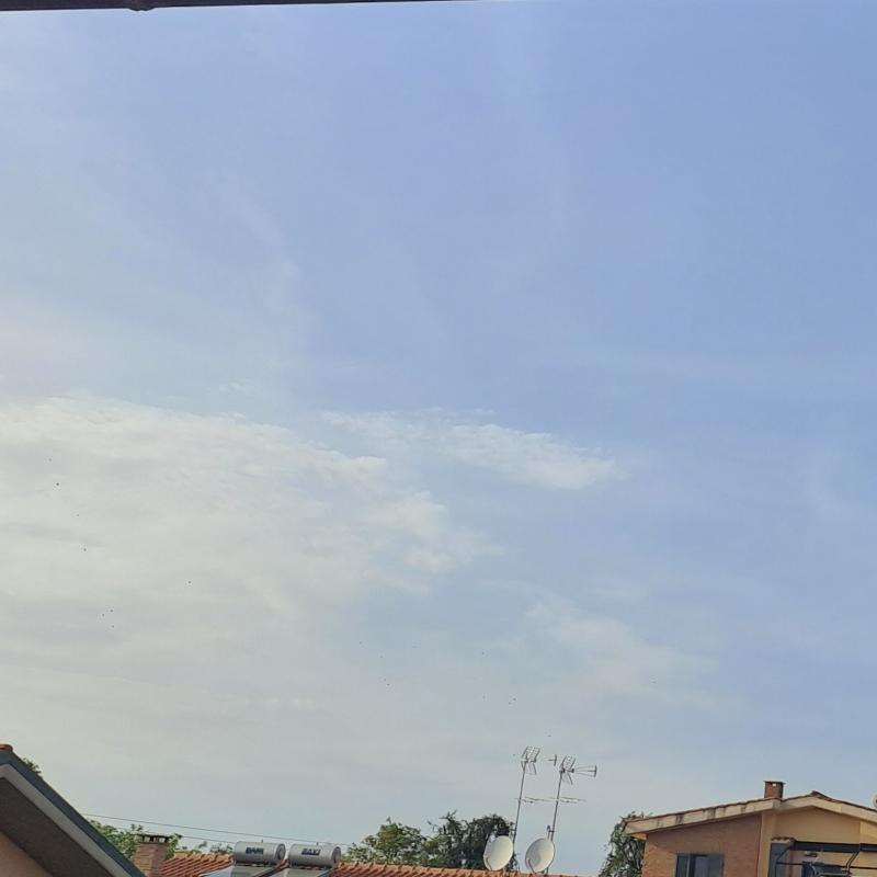 Fotosegnalazione di Marino
