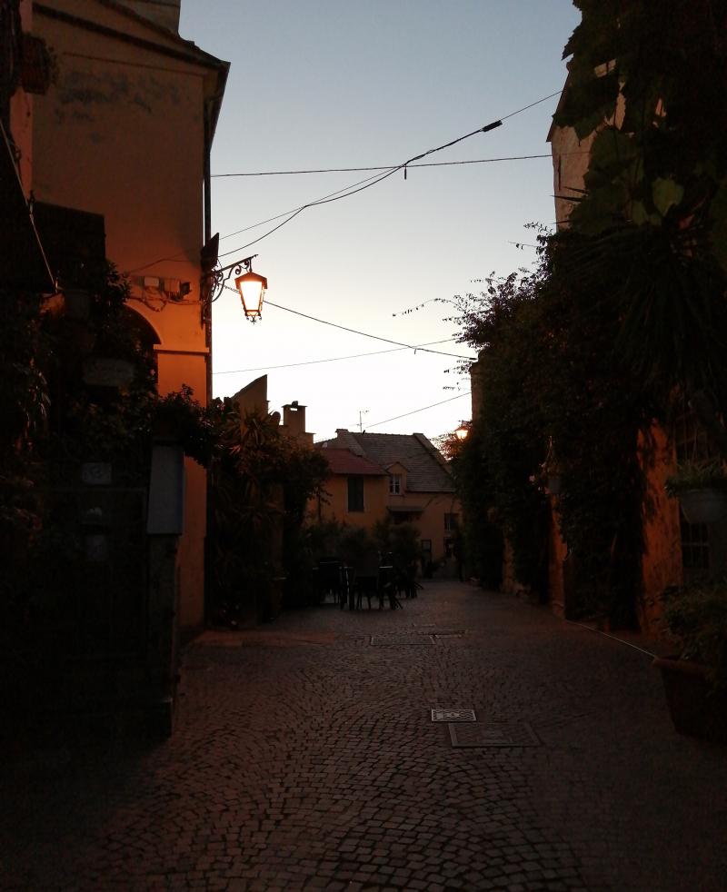 Cervo al tramonto