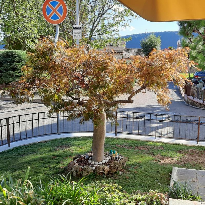 Fotosegnalazione di Villa pedergnano