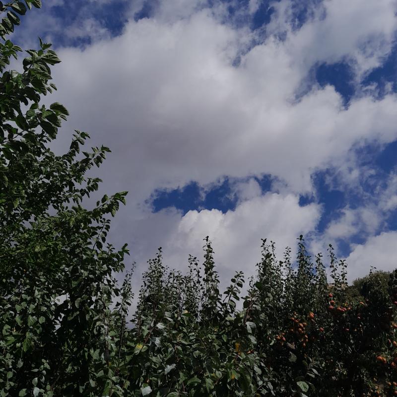 Fotosegnalazione di Petralia sottana