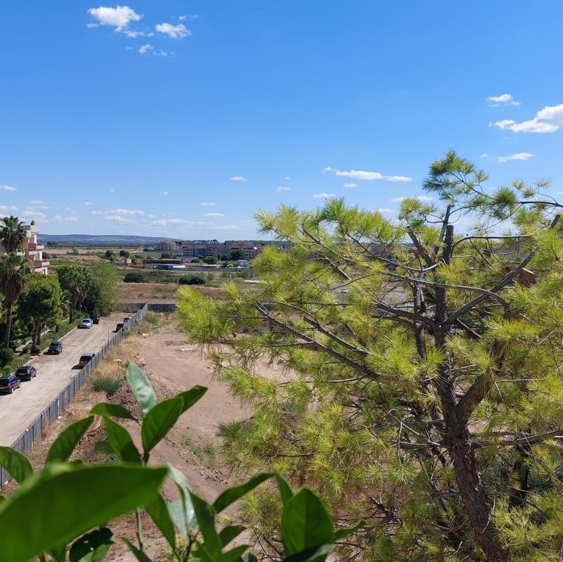 Fotosegnalazione di Taranto montegranaro - salinella