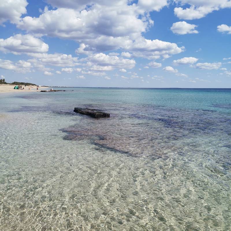 Fotosegnalazione di San pietro in bevagna