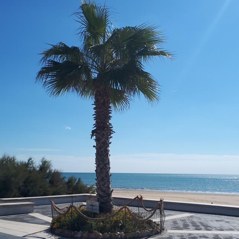 Mare d'autunno