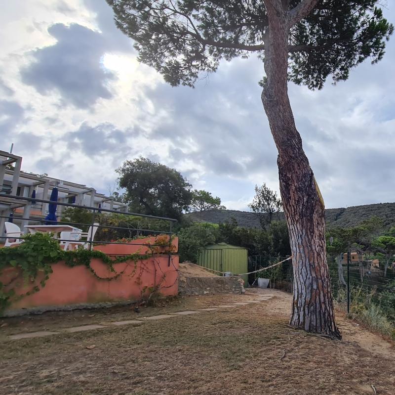 Fotosegnalazione di Portoferraio