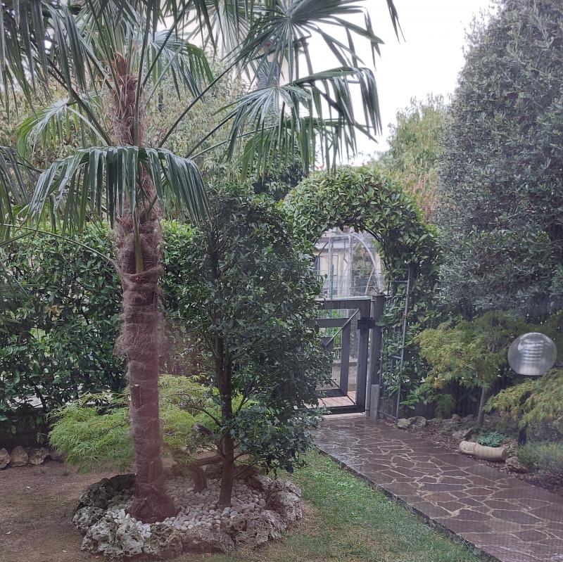 Fotosegnalazione di Bonate sotto