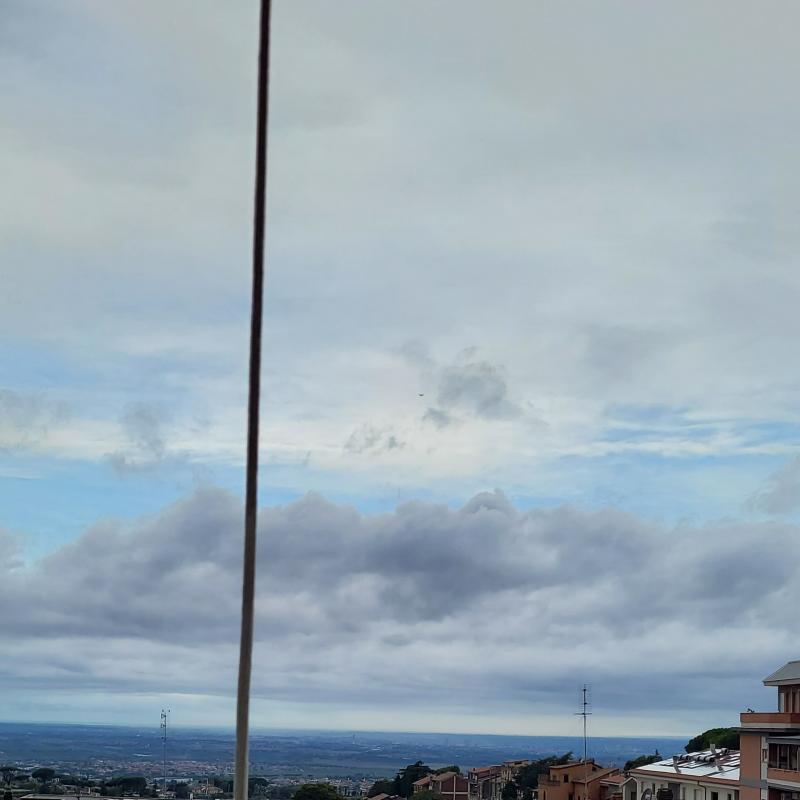 Fotosegnalazione di Marino