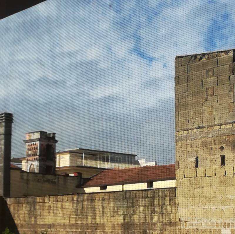 Fotosegnalazione di Orta di atella