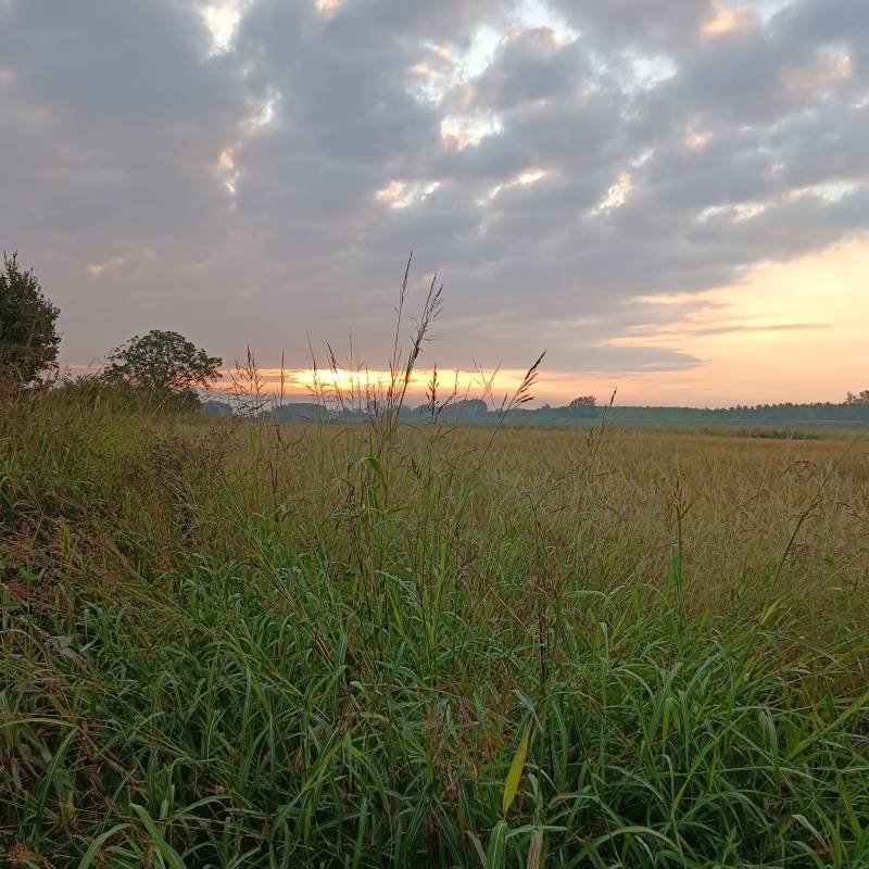 Fotosegnalazione di Gambarana