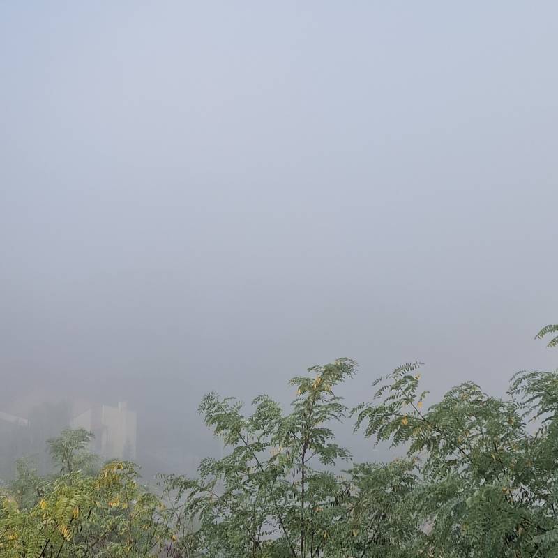 Fotosegnalazione di Frosinone alta