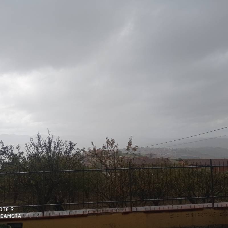 Fotosegnalazione di San biagio platani
