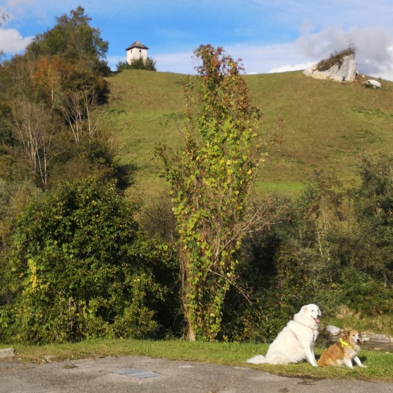 Fotosegnalazione di Mezzano