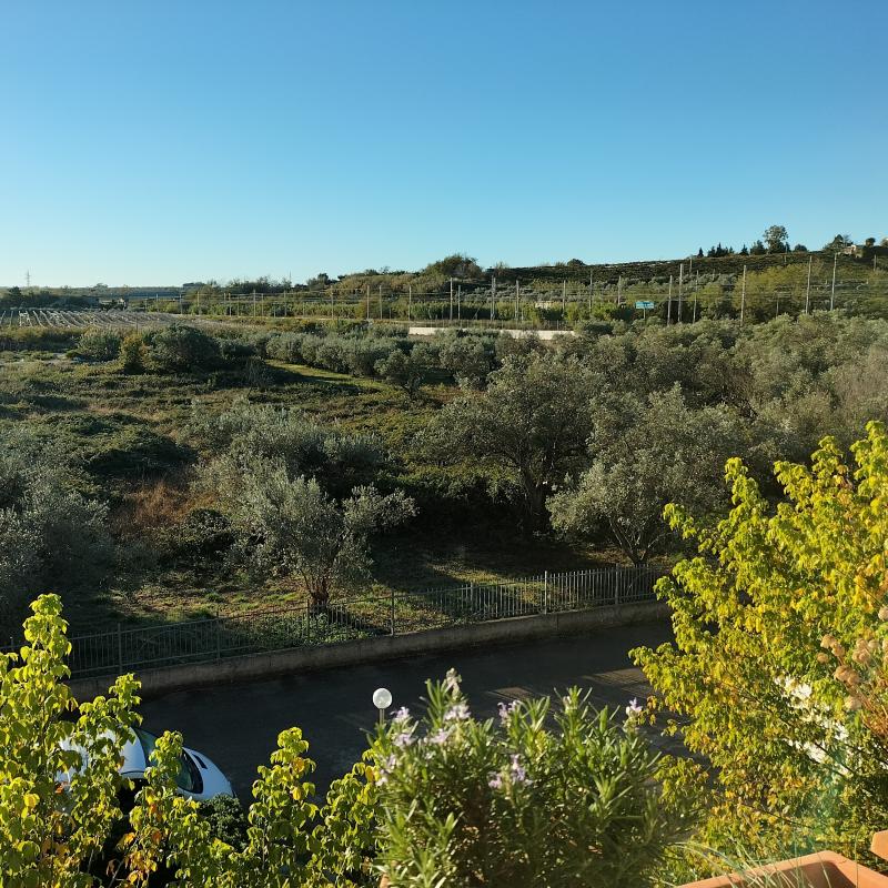 Fotosegnalazione di Vasto