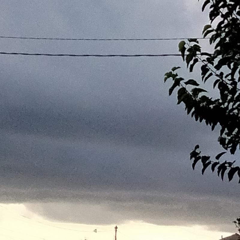 Fotosegnalazione di Gorizia lucinco