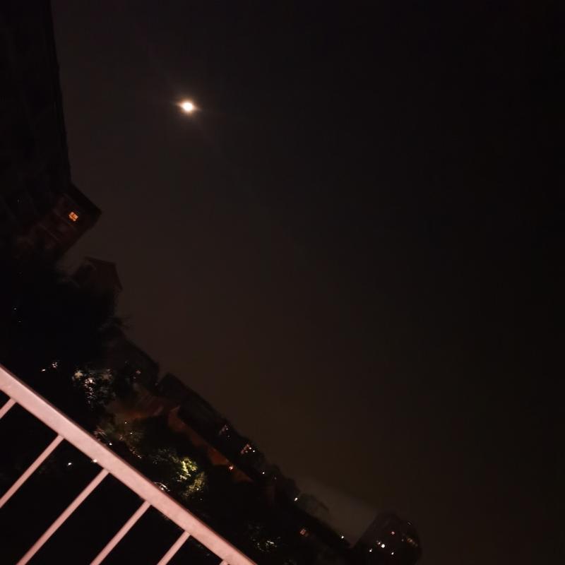 Fotosegnalazione di Milano gallaratese