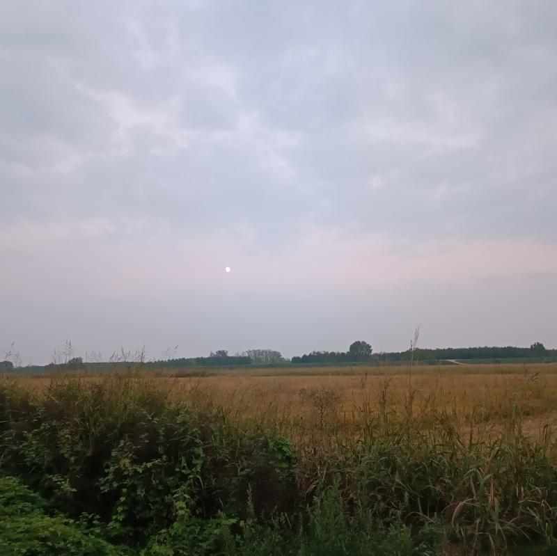 Fotosegnalazione di Gambarana