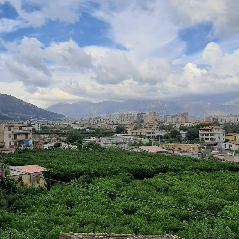 Fotosegnalazione di Palermo villagrazia - falsomiele