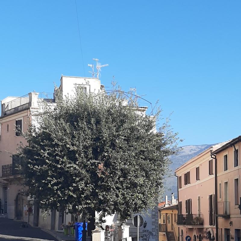 Fotosegnalazione di Roccagorga