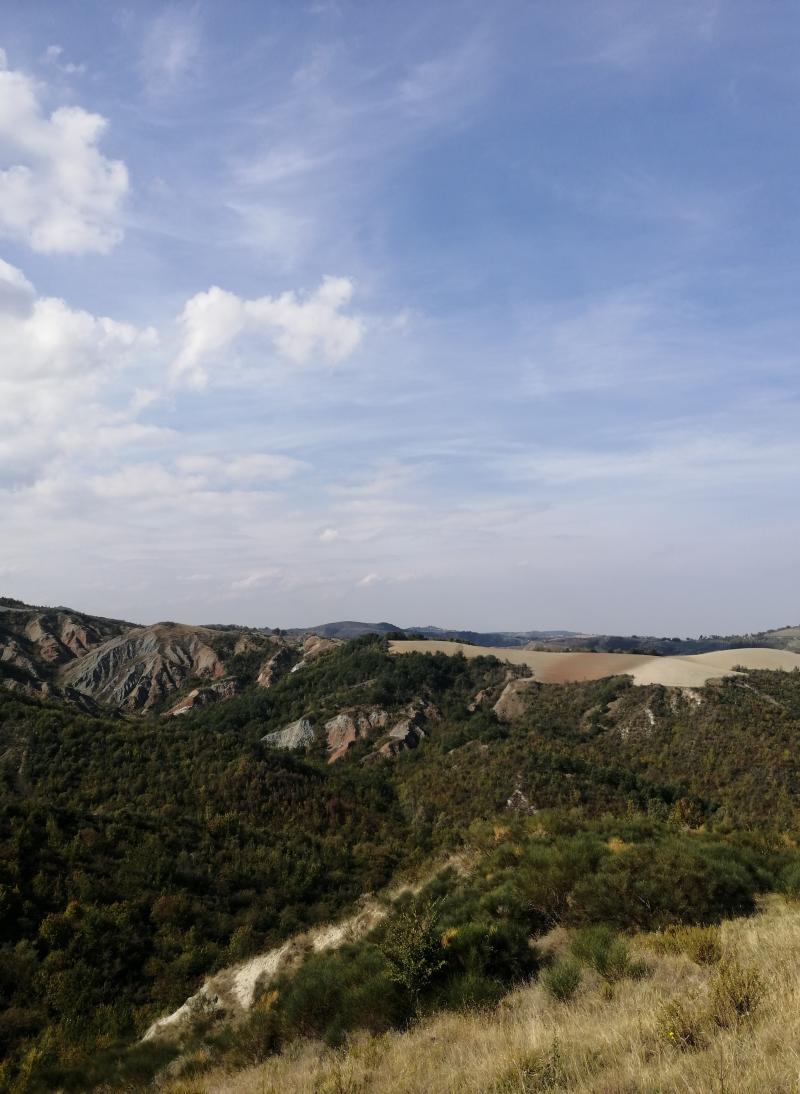 velature estese