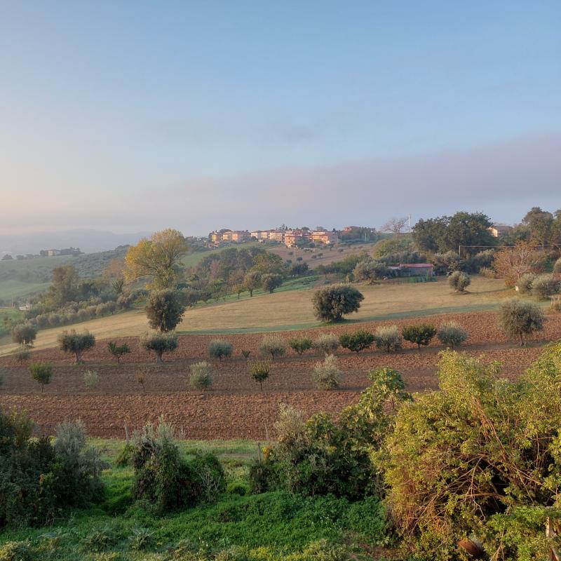 Fotosegnalazione di Recanati