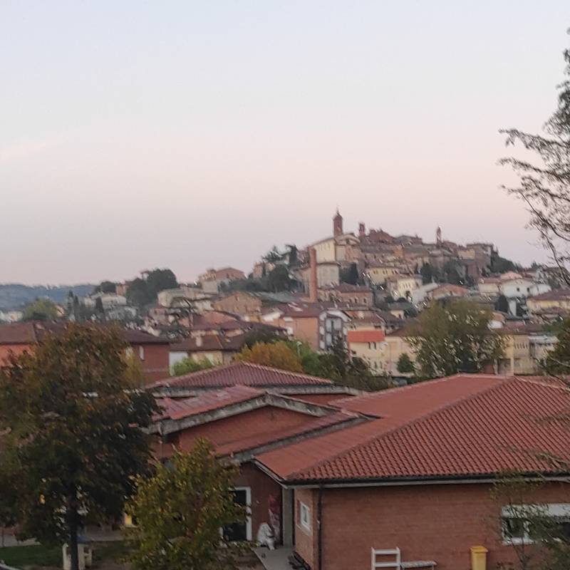 Fotosegnalazione di Torrita di siena