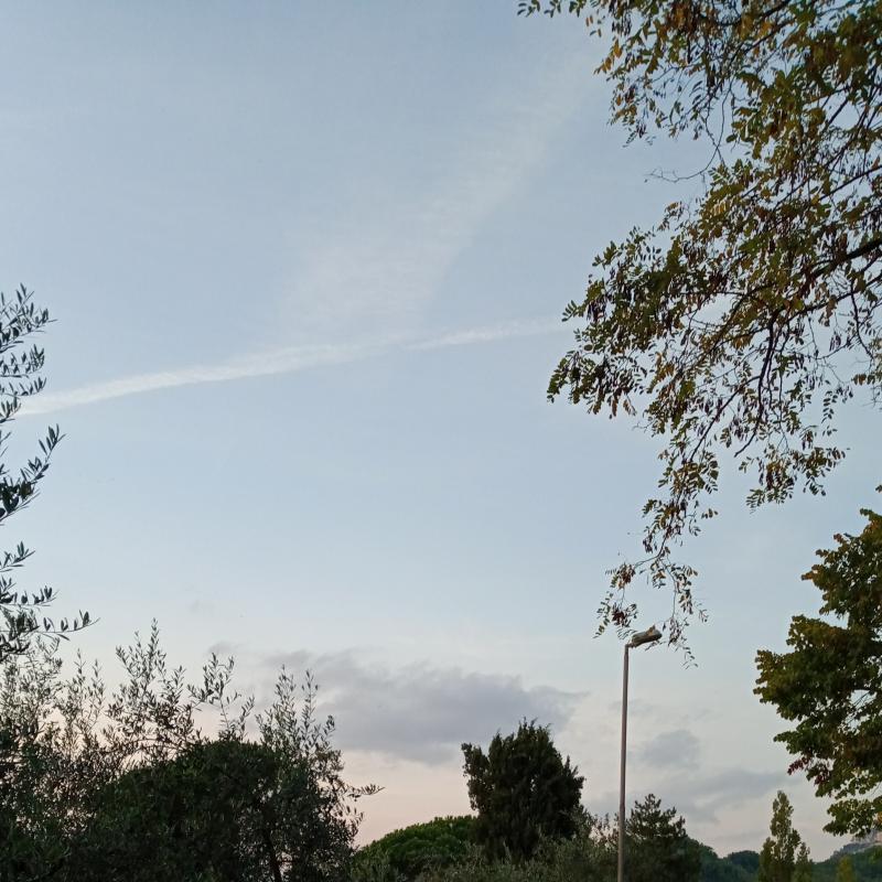 Fotosegnalazione di Olevano romano