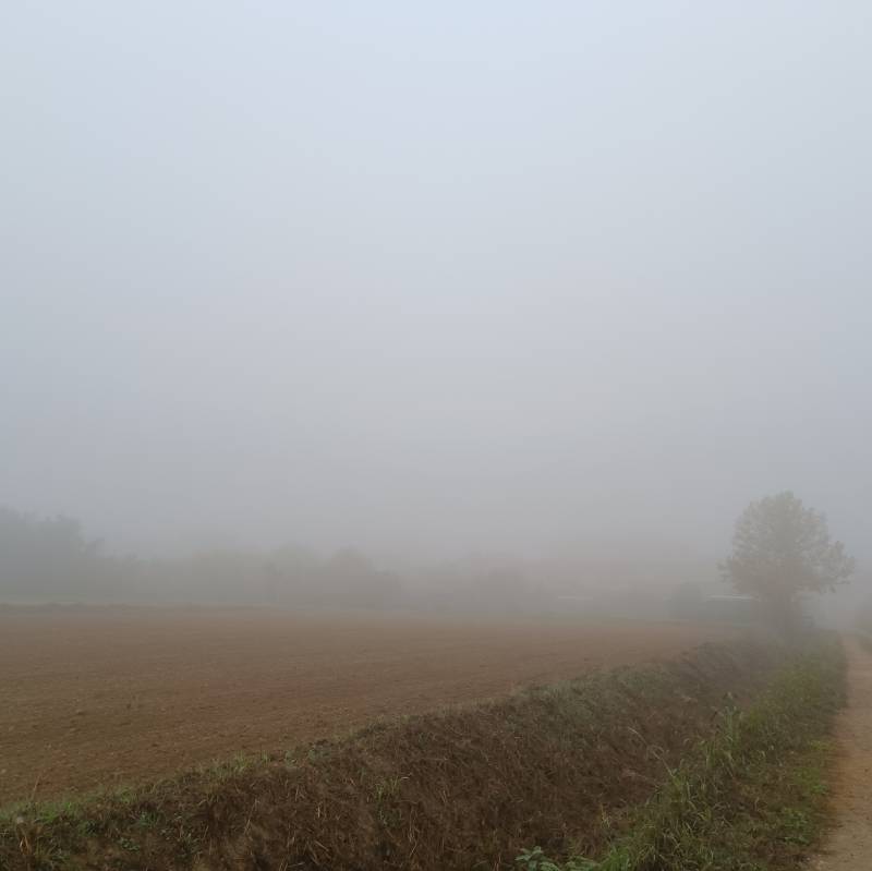 Fotosegnalazione di Gambarana