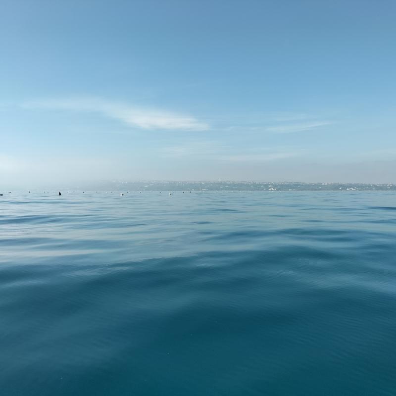 Fotosegnalazione di Vasto
