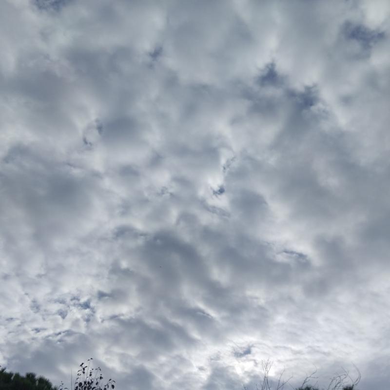 Fotosegnalazione di Ravenna centro