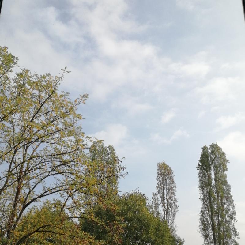 Fotosegnalazione di Cernusco sul naviglio