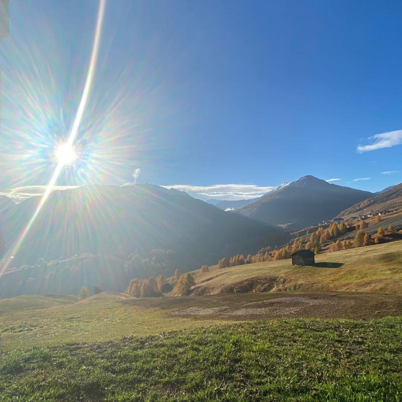 buongiorno Trepalle