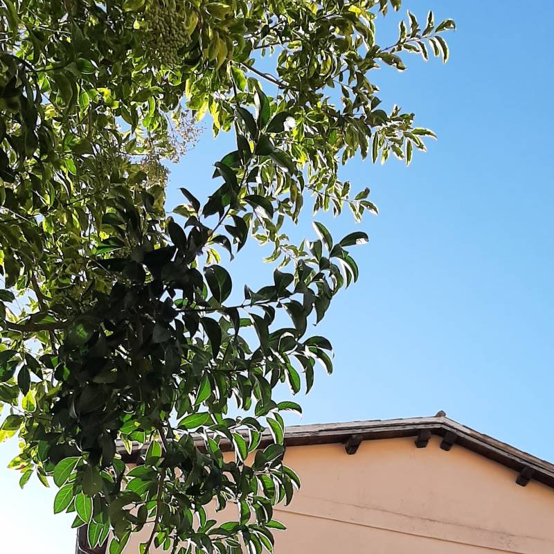 Fotosegnalazione di Roccagorga
